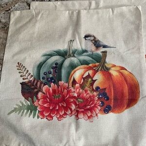 Autumn Harvest Pumpkin Pillow Covers Set.